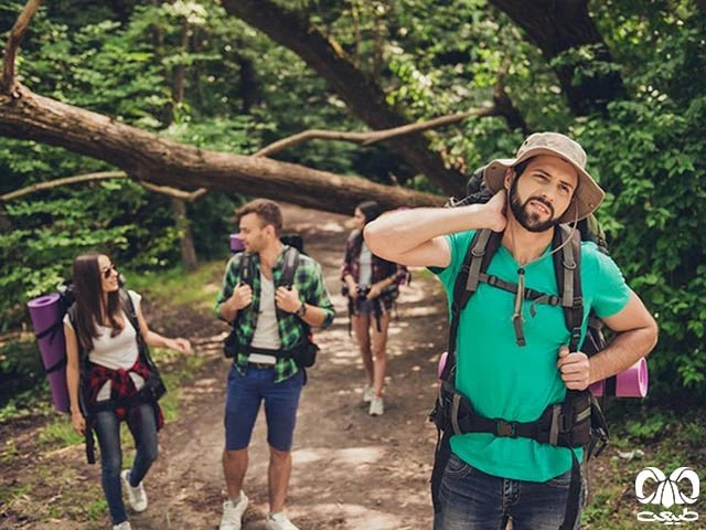 دفع پشه در طبیعت