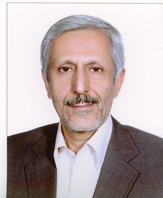 محسن صادقی
