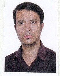 رضا آرایی