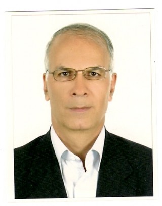 محمد حسین روحانی