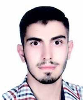 محمد مهدی دست پیمان