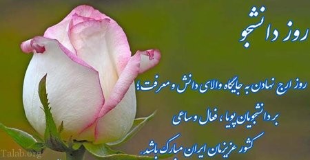 سیدعباس علوی