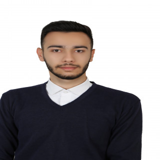 علی افسری اوغانی