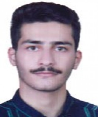 محمدامین سالم