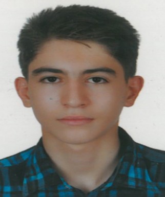 امیر محمد احمدی
