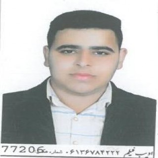 امیر نیسی اصل