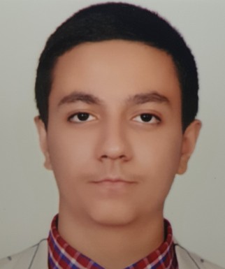 امیرمحمد امامیان
