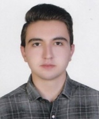 مهدی افضلی