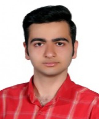 سید محمد معین خلیلی نژاد