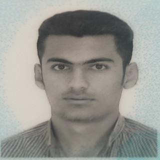 محمد حسین ویسی