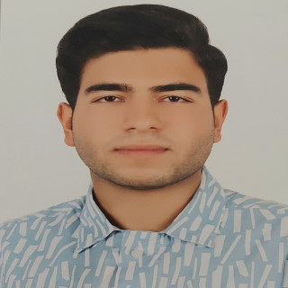 مبین رئیس زاده صفوئی