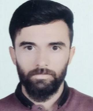 ماهان پاشایی