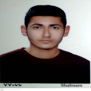مهدی گوزلی لاریجان