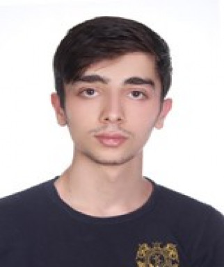 آرین علیجانی