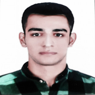 امیرحسین هوشمند