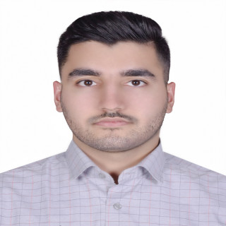 امیر گلی