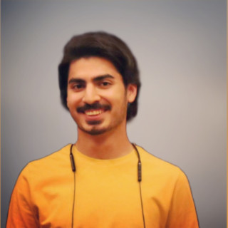 آرین فروتن