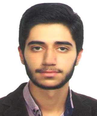 محمد فتحی