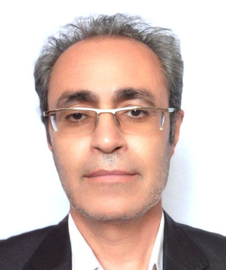 محمدرضا فتحی