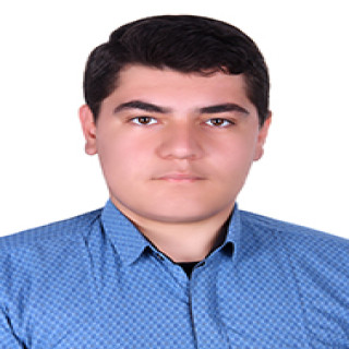 امیرحسین نیساری