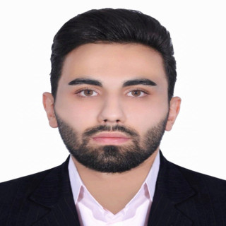 امیر فرجی