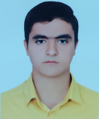 محمد امین پوینده پور