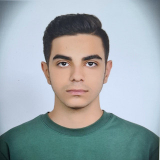 امیرمحمد عدالتی