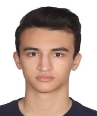 محمد حسین حسنی