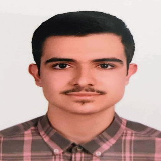 سیدمحمدنیما حسینی نژاد