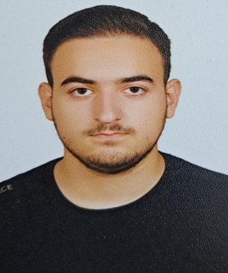پارسا شریفی