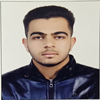 امیرعباس ضیاالدینی