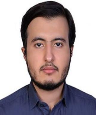 سپهر موسوی کاشانی زواره