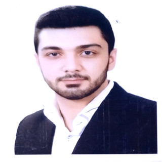 امیرحسین امینی