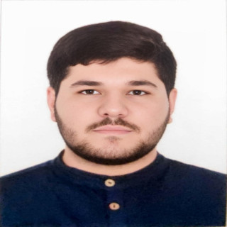 امیرحسین سلیمانیان