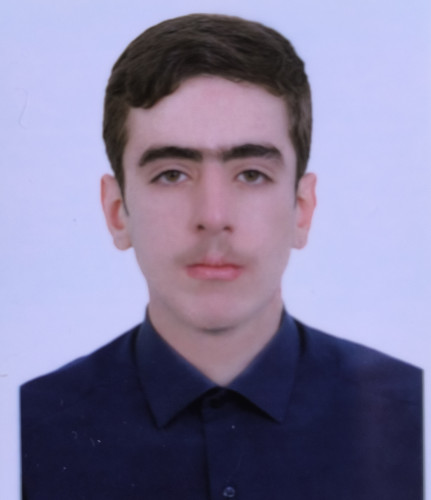 پویا نوروزبیگی