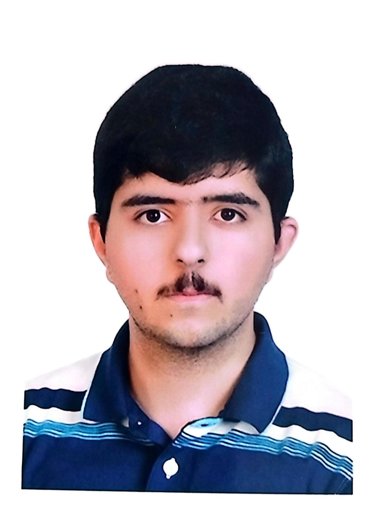 محمدامین صفوی