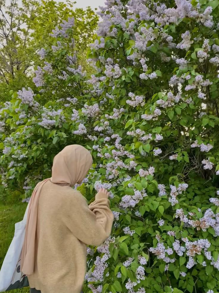 فاطم هاشمی