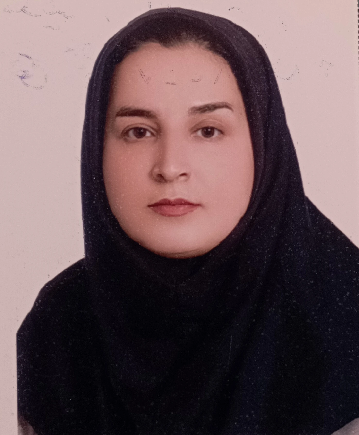 حدیقه ابراهیمی