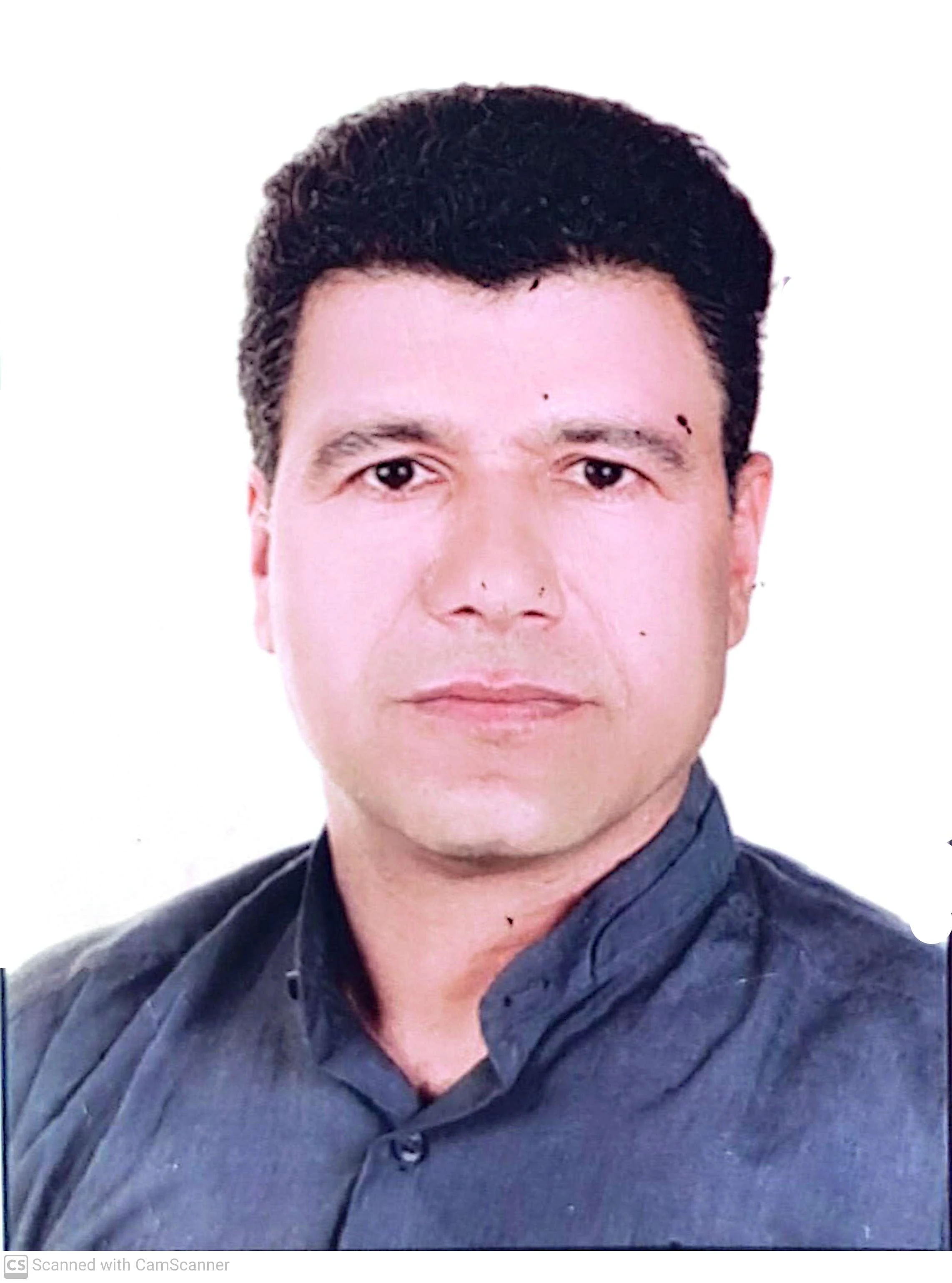 یداله محمودی