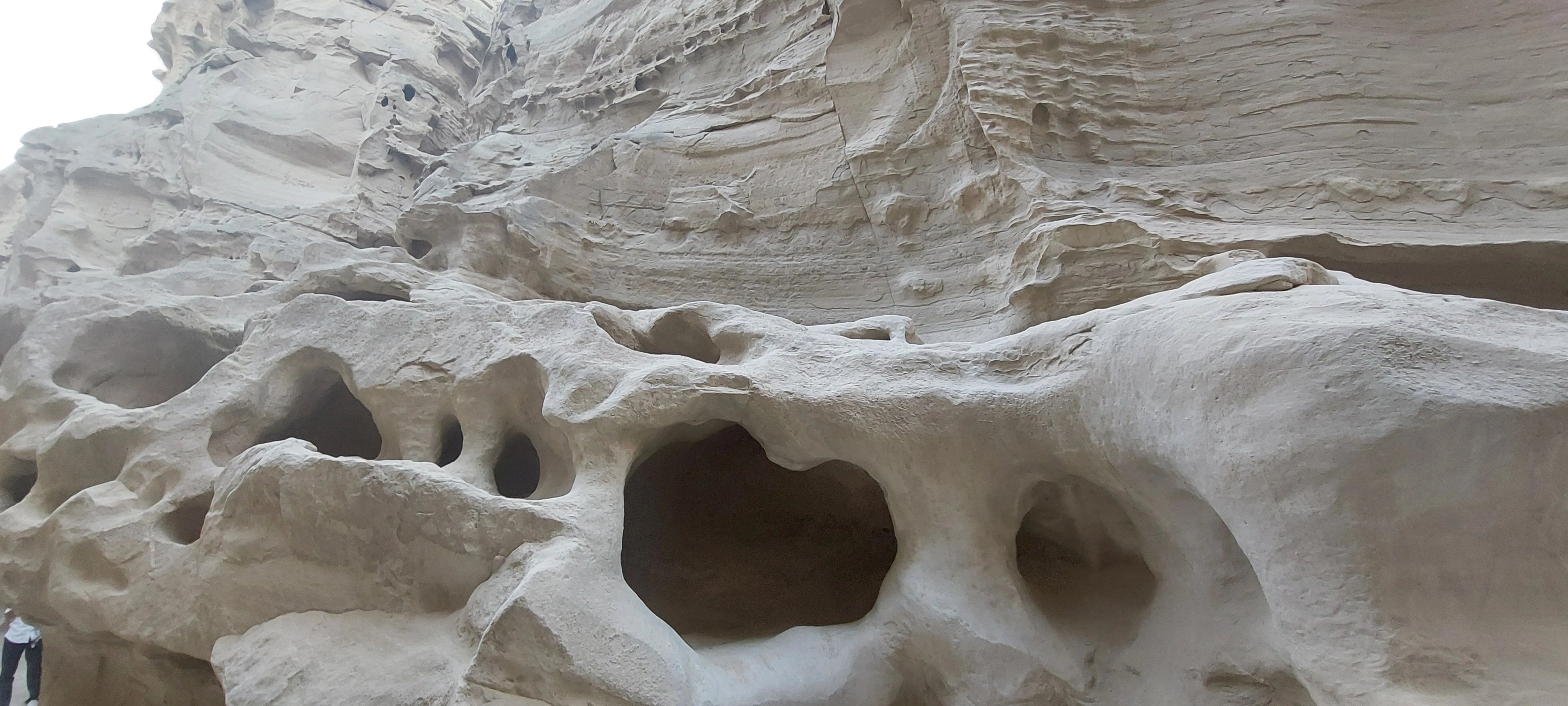 سبحان همتی