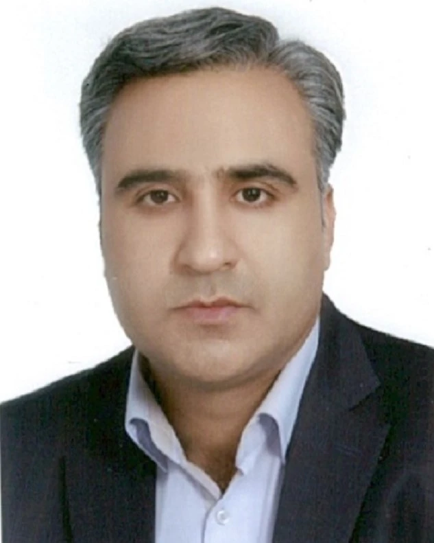 مهدی حسنی