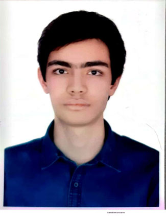 پارسا مومنی