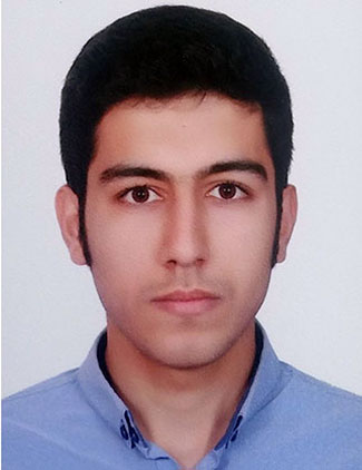 هادی دستور
