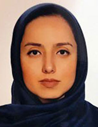 نگین حمیدی