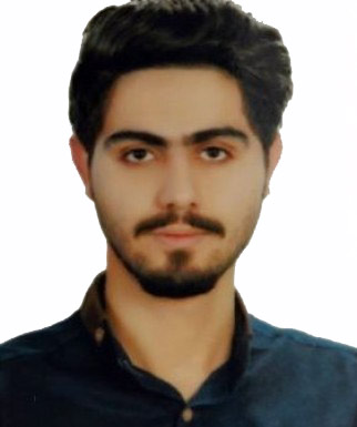 مهدی سلیم زاده