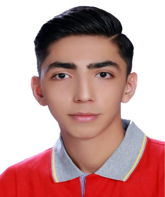 محمد مایلی