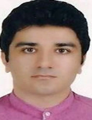 حسین آقاملاپور