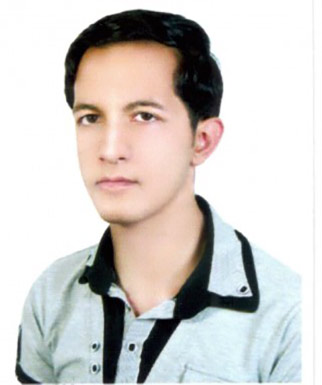مهدی محمودی