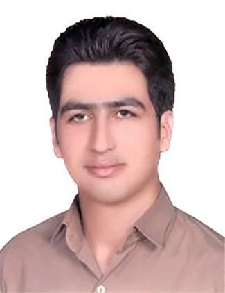 مجید زارع