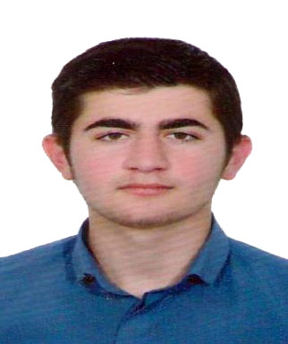 رضا حسنی